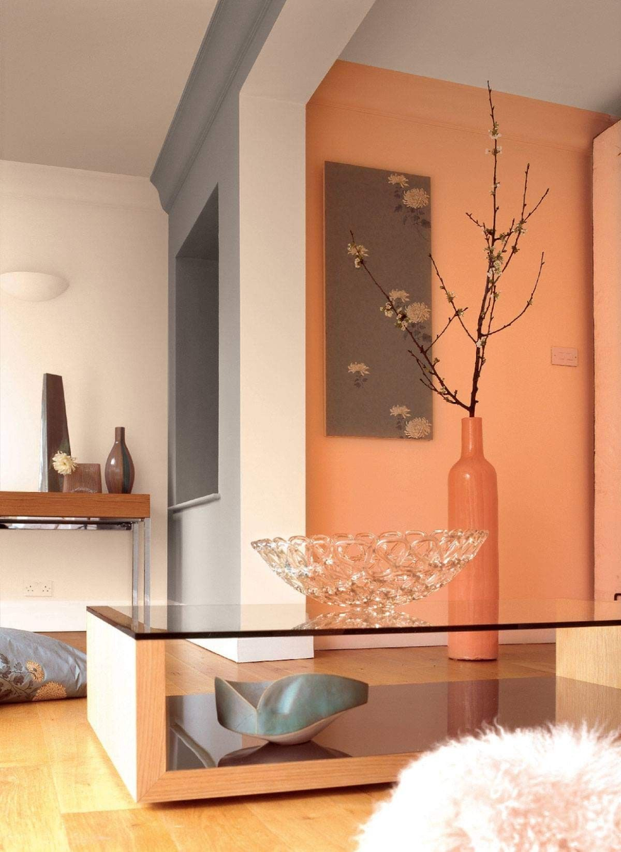 Терракотовые стены в прихожей