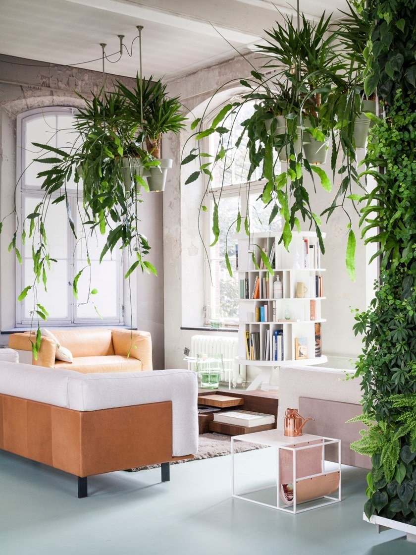 Висячие цветы комнатные в интерьере