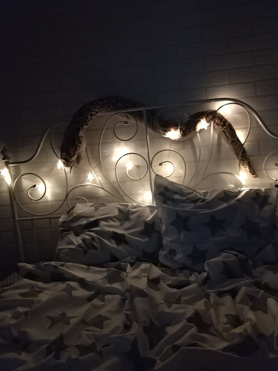 Я В кровати