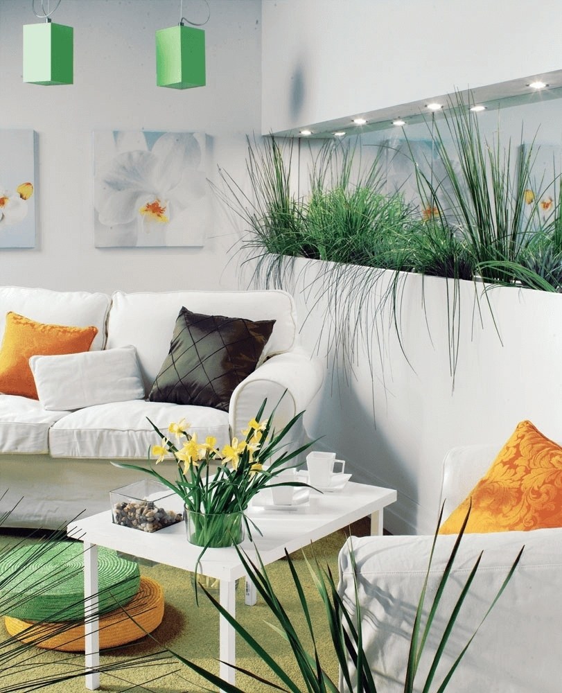 Интерьер экостиль с растениями