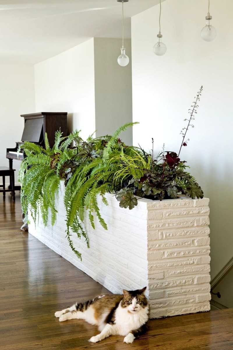 Перегородка с растениями