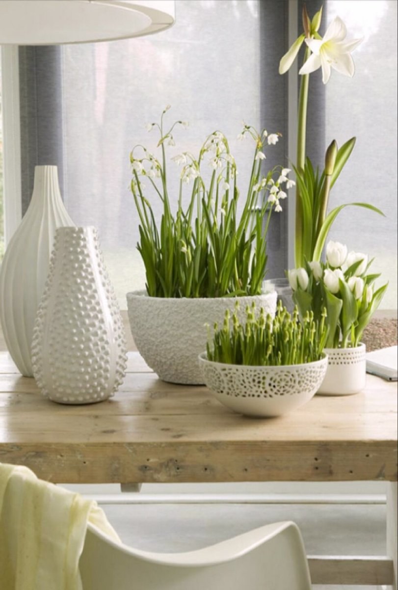 Цветочные горшки в интерьере