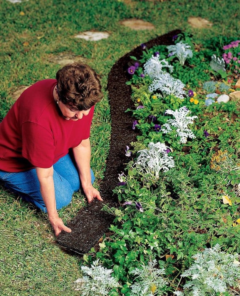 Хризантемы мульчирование