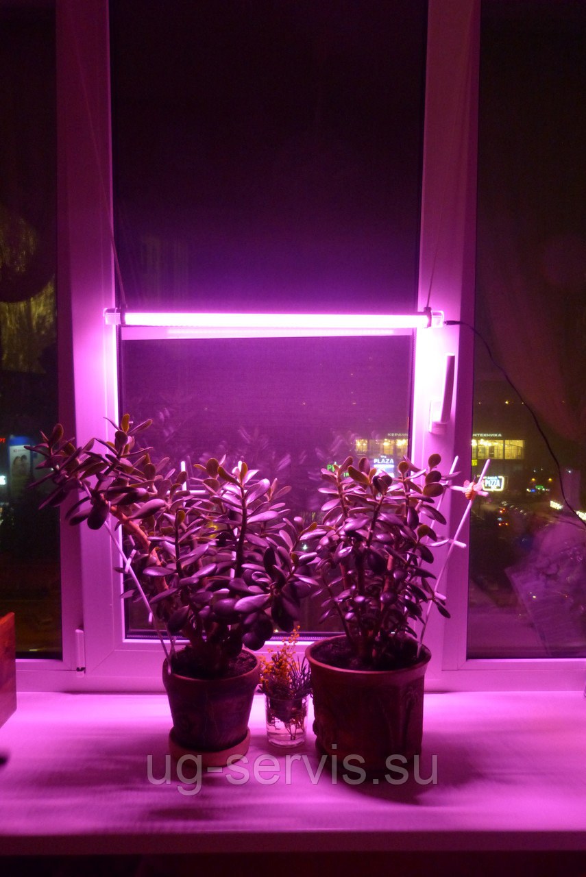 Фитолампа ( для рассады и растений ) ТДМ