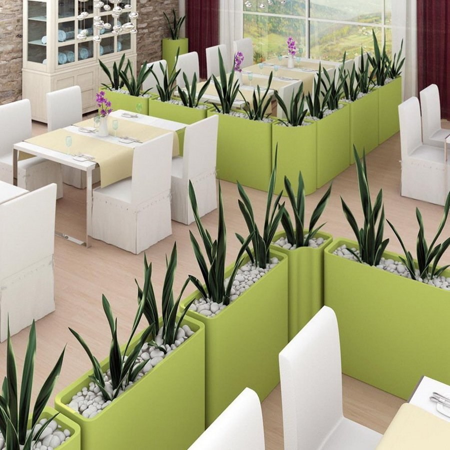 Перегородки из растений в офисе