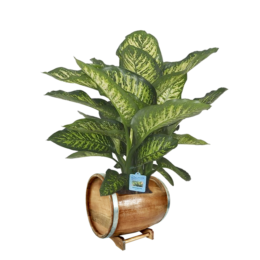 Подставка для комнатных растений GREENWEEN Trinity