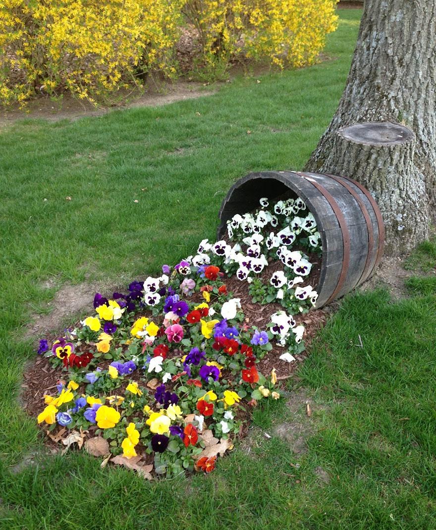 Необычные клумбы