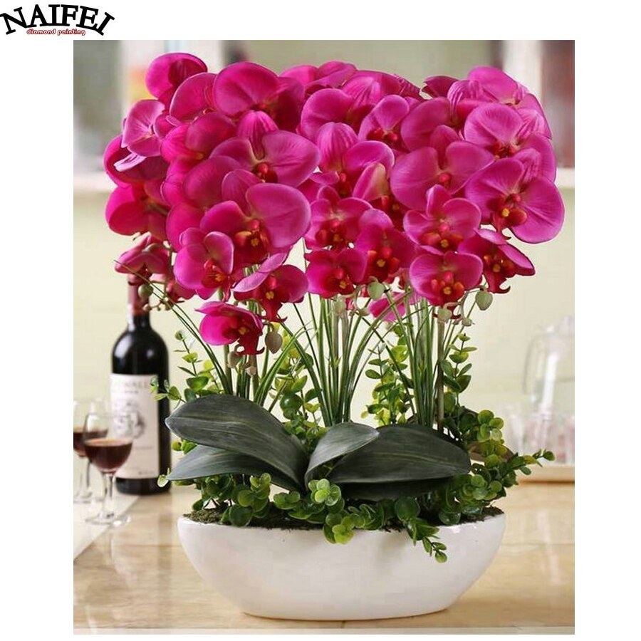 Цветок фаленопсис