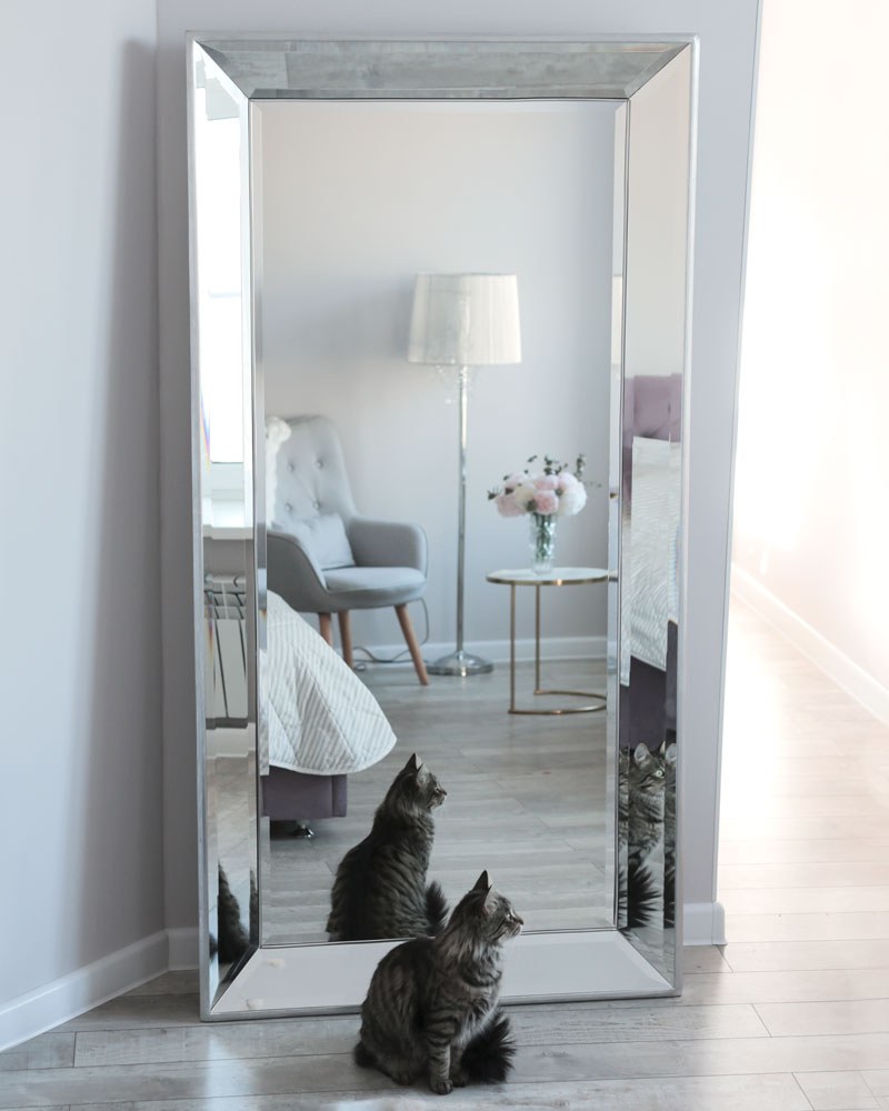 Зеркало "Dijon"