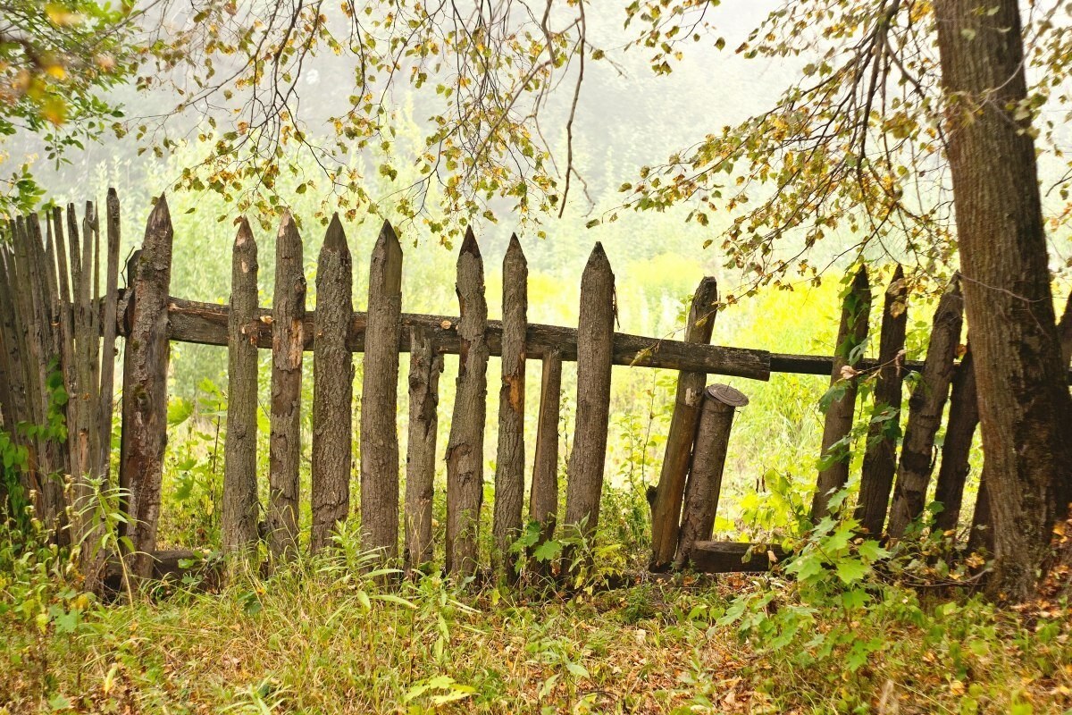 кладбищенский забор раст фото 42
