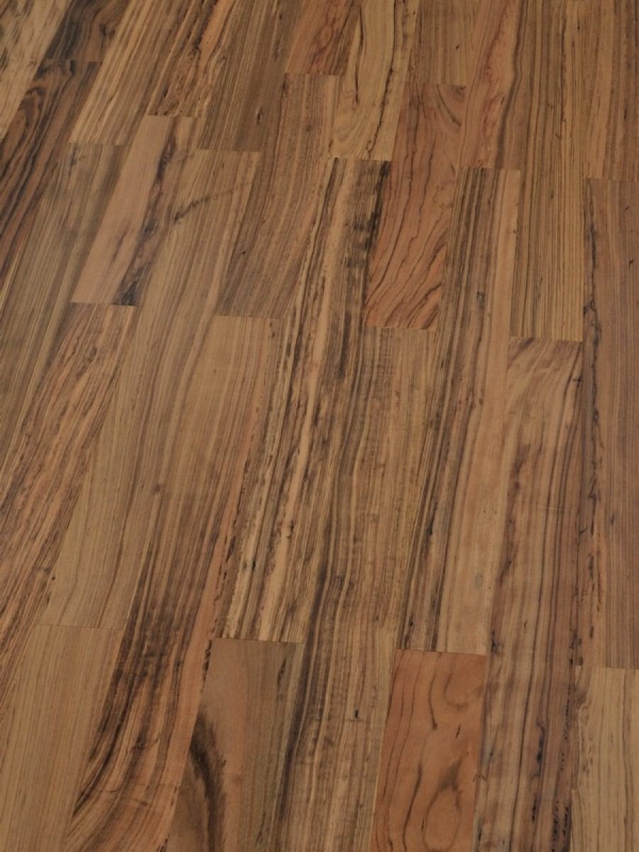 Galathea зебрано