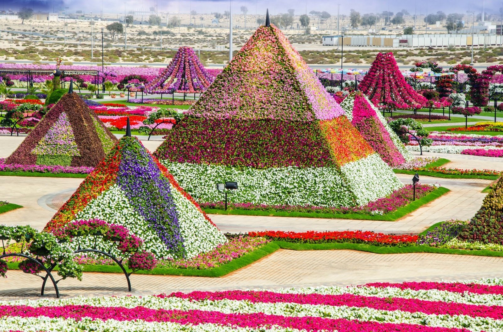 Клумба мир. Парк цветов Dubai Miracle Garden. Миракл Гарден Дубай. Цветочный сад в Дубае Миракл. Цветочный парк в Дубае Миракл Гарден..