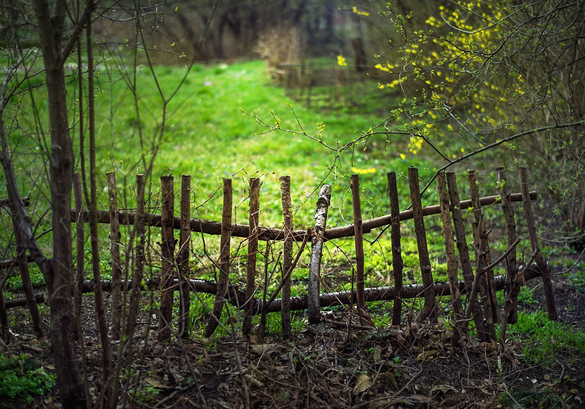 Фото плетня в деревнях