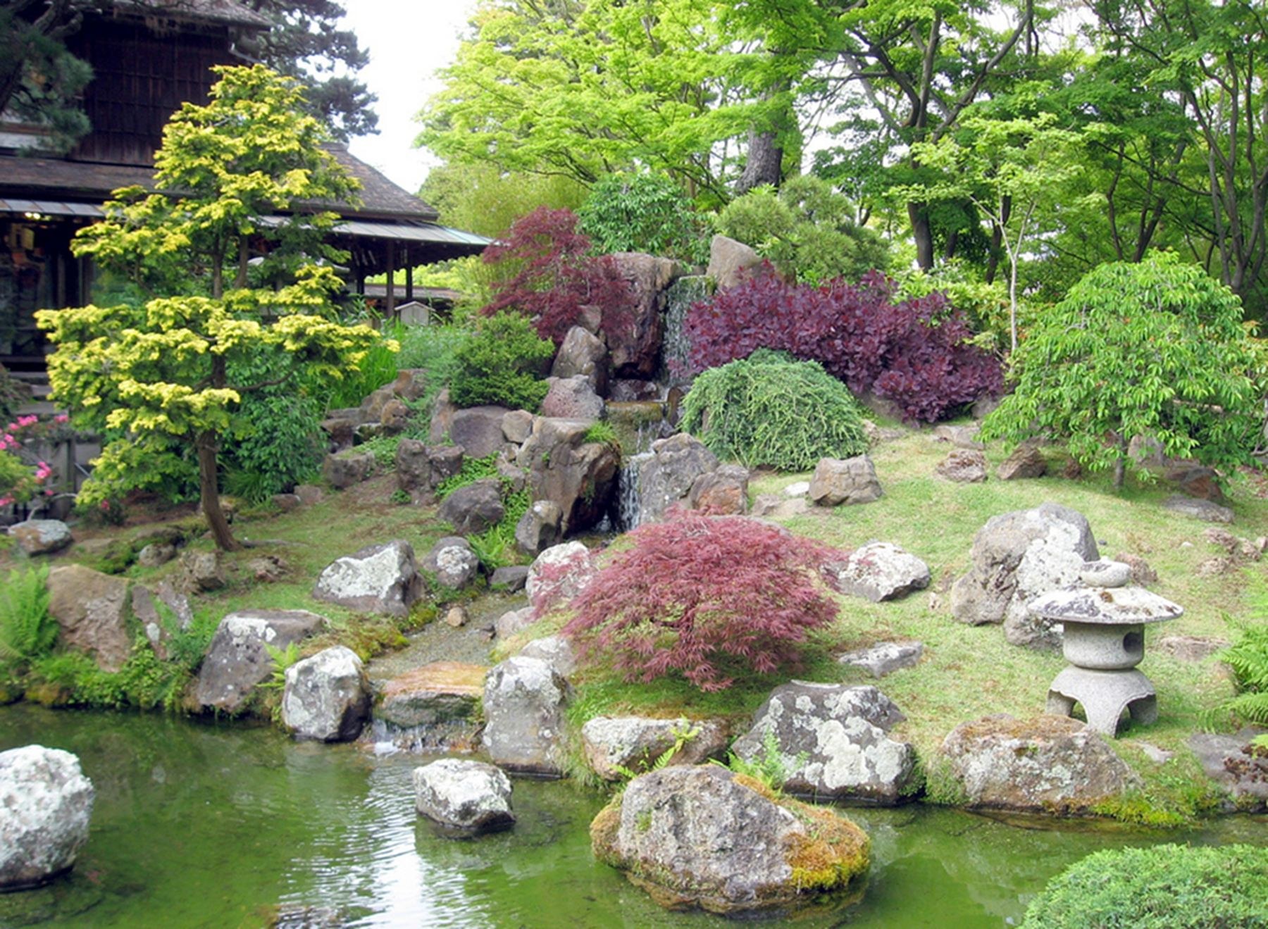 Чайная церемония в японском саду. Тянива сад Японии. Тянива чайный сад. Японский чайный сад в Сан-Франциско. Чайный сад Тянива в Японии.
