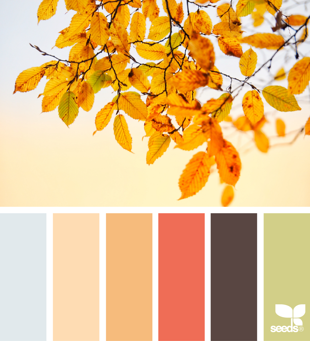Палитра лист. Цветовые сочетания. Цветовая палитра сочетание. Палитра сочетающихся цветов. Осенние цвета.