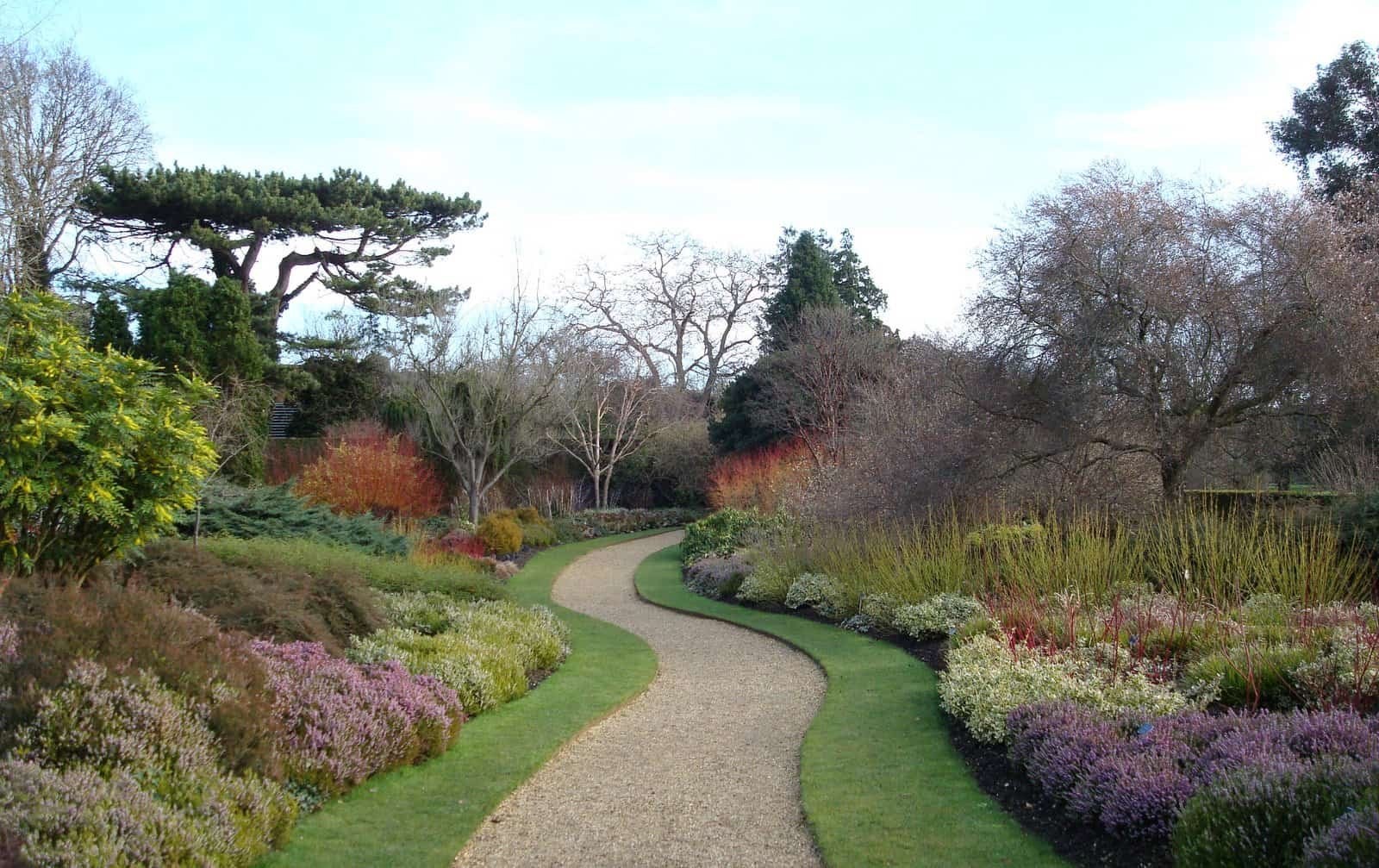 С какого года сад. Ботанический сад пейзажный стиль. Ботанический сад Кембриджского университета. Английский сад натургаден. Сад в Брессингеме.