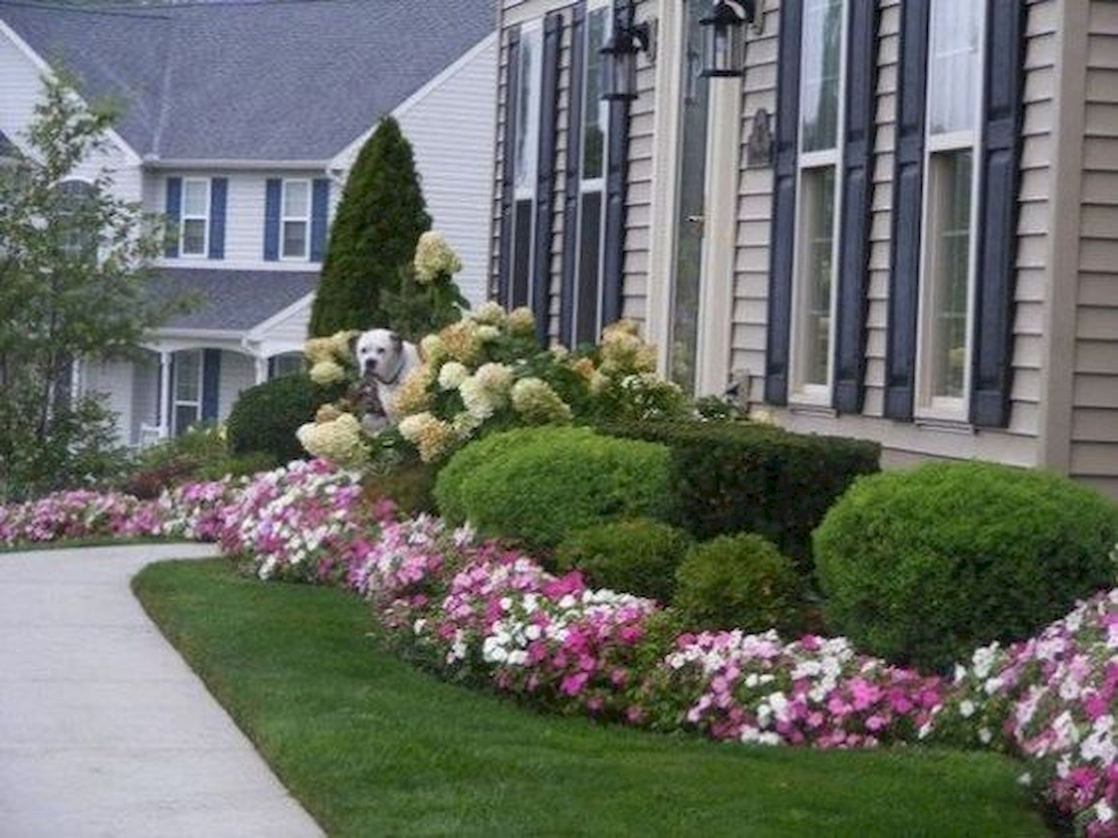 Фото цветов перед домом. Парадный миксбордер. Палисадник Энфилд. Палисадники клумбы лужайки. Garden House миксбордер.