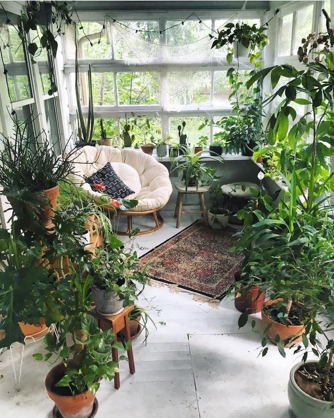 Сад в квартире (60 фото)