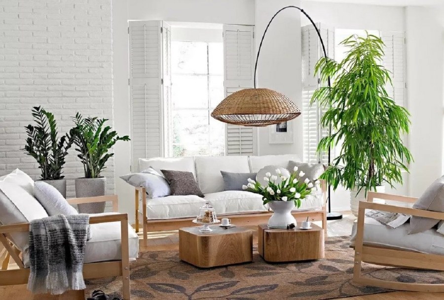 Растения в интерьере