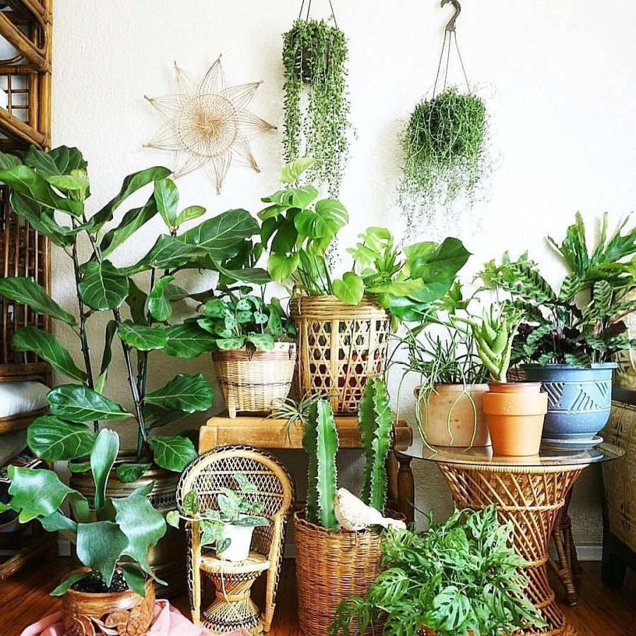 Урбан Джангл интерьер