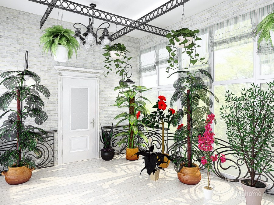 Растения в интерьере