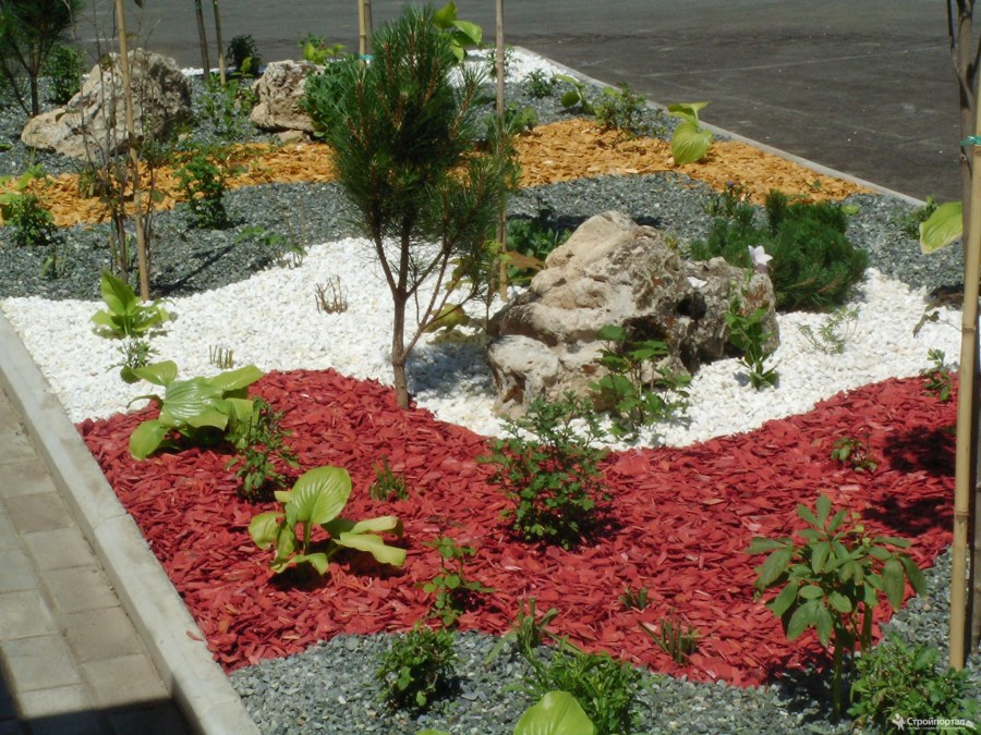 Эхеверия на альпийской Горке