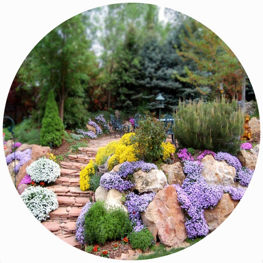 Мульчирование клумбы щепой