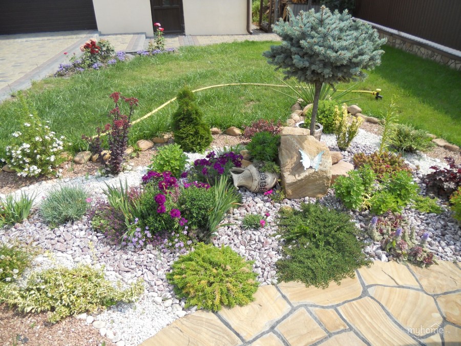 Рутарий с хвойными