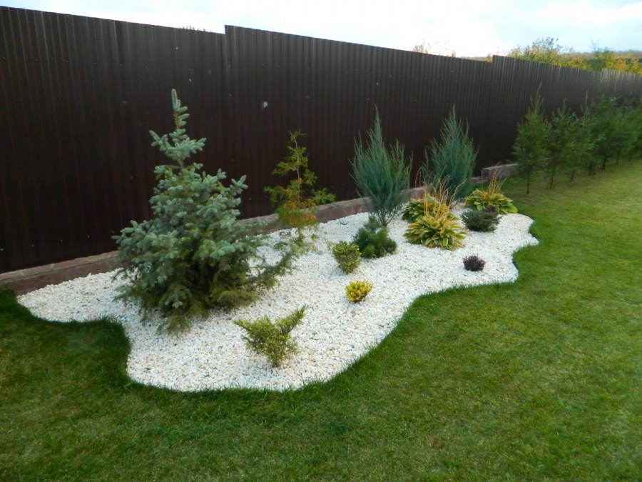 Хвойный рокарий