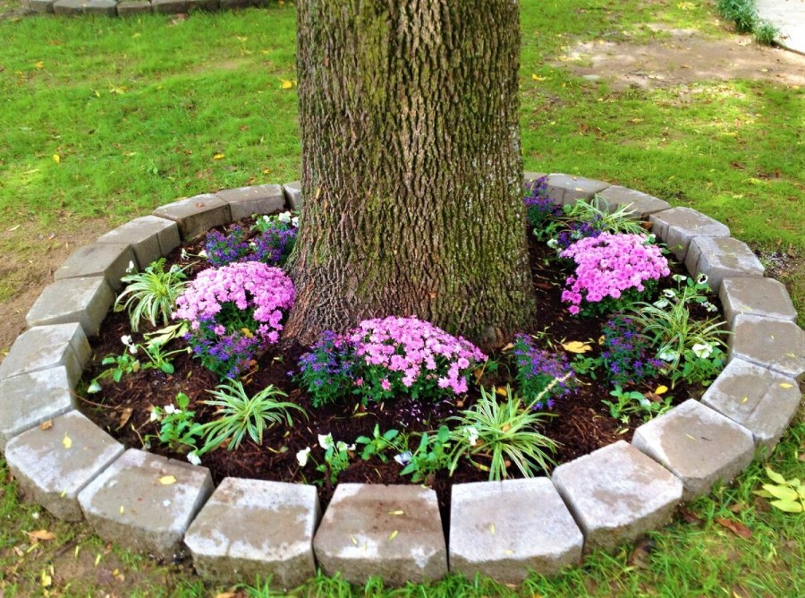 Клумба в приствольном круге