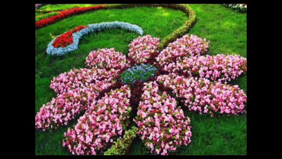 Моноклумба в ландшафтном дизайне