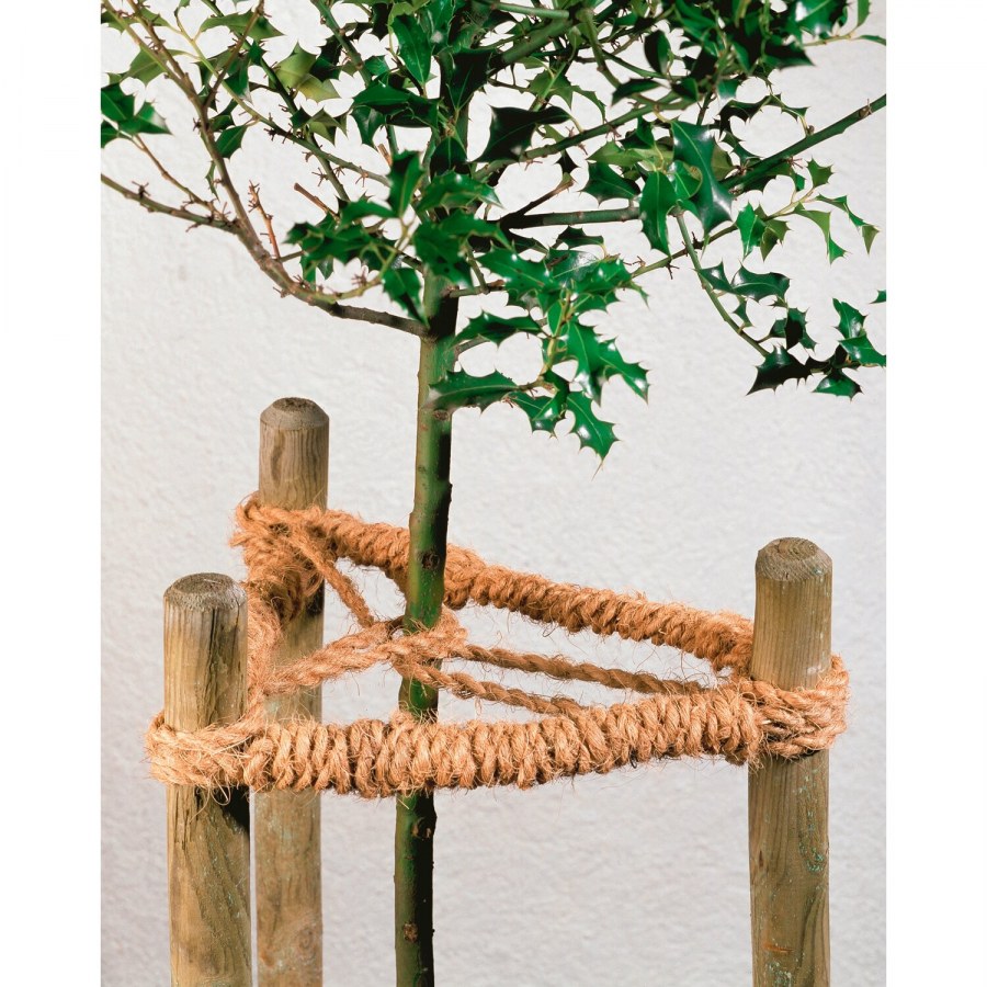 Деревянные опоры для деревьев