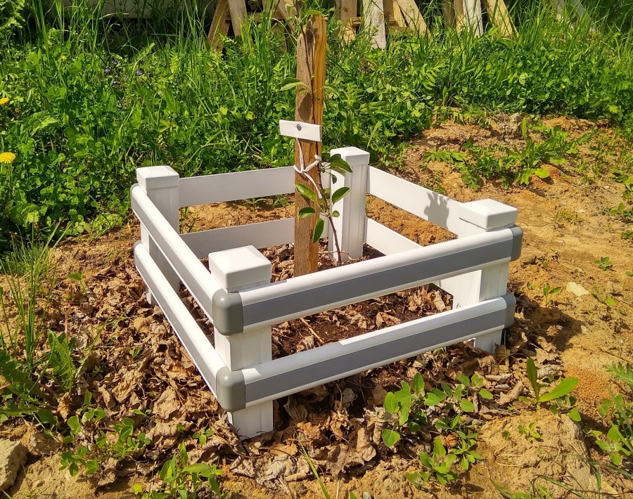 Оградки для саженцев