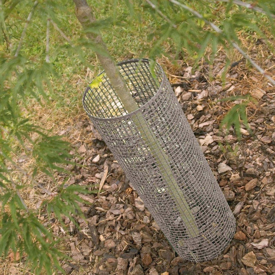 Сетка Tenax для деревьев