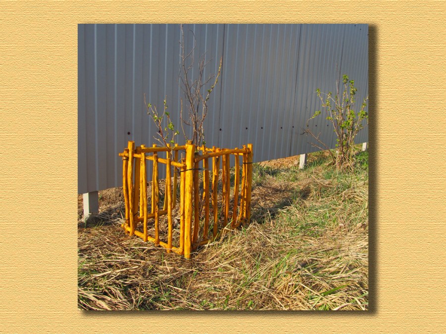 Ограждение для саженцев деревьев деревянные