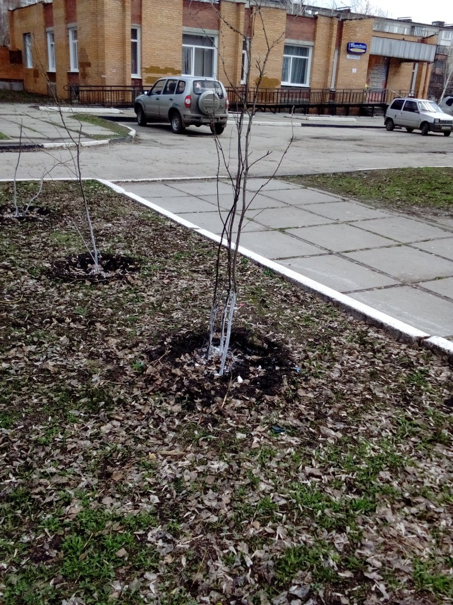 Забор декоративный ГАРДЕНПЛАСТ Modern 4 секции, зеленый, 3 х 0.35 м