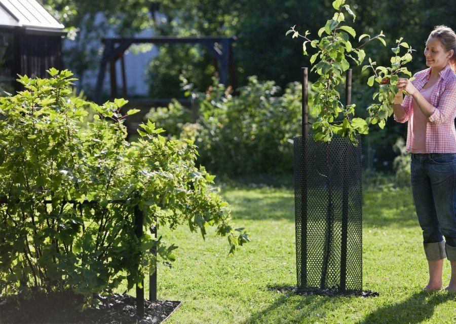 Ограждение для деревьев