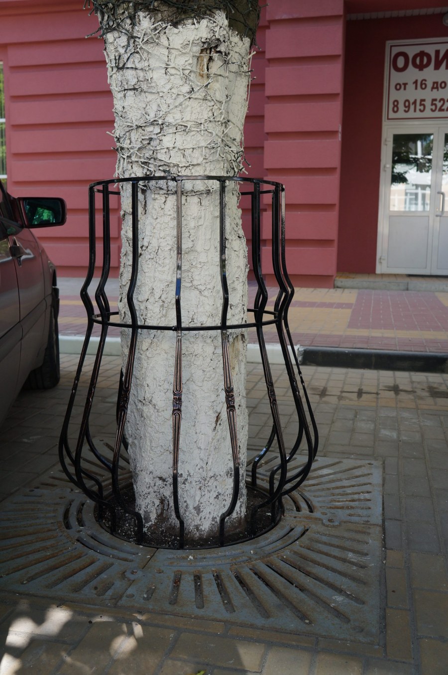 Каркас для саженцев