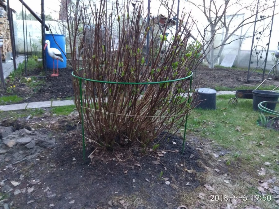 Ограждение для кустарников