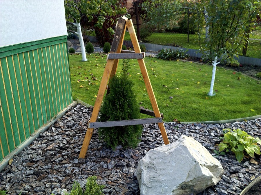 Ограждение для молодых деревьев