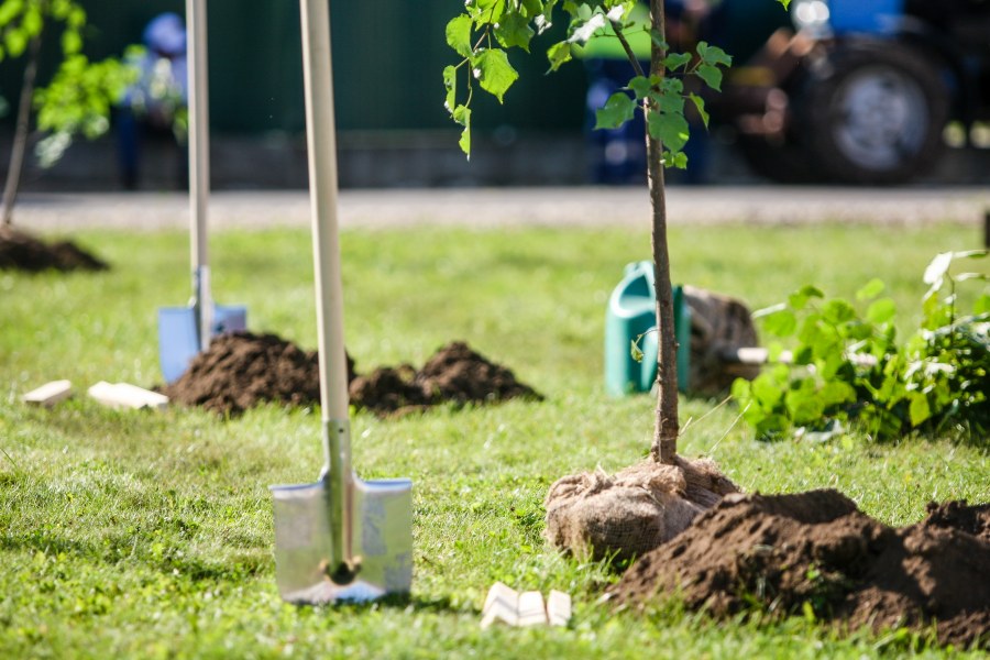 Бордюр для сада Prosperplast palisada 4.05м 8шт. Ц. коричневый ipal7-r222