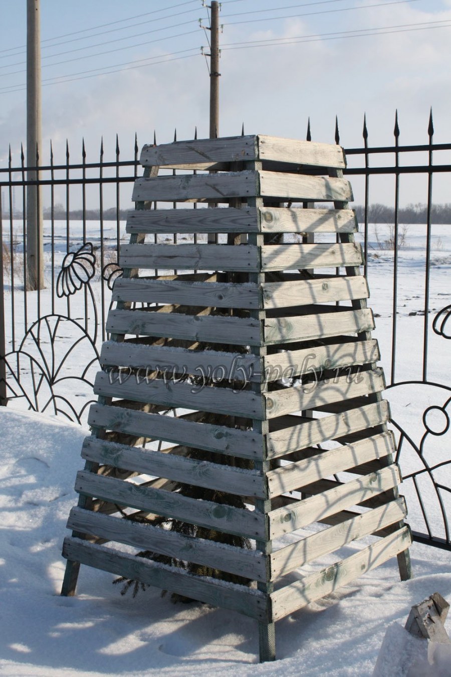 Ограждение для туи на зиму