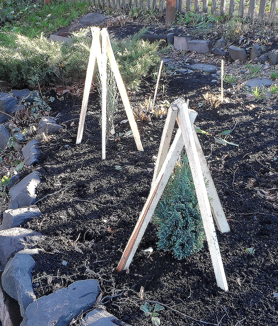 Каркас для укрытия роз