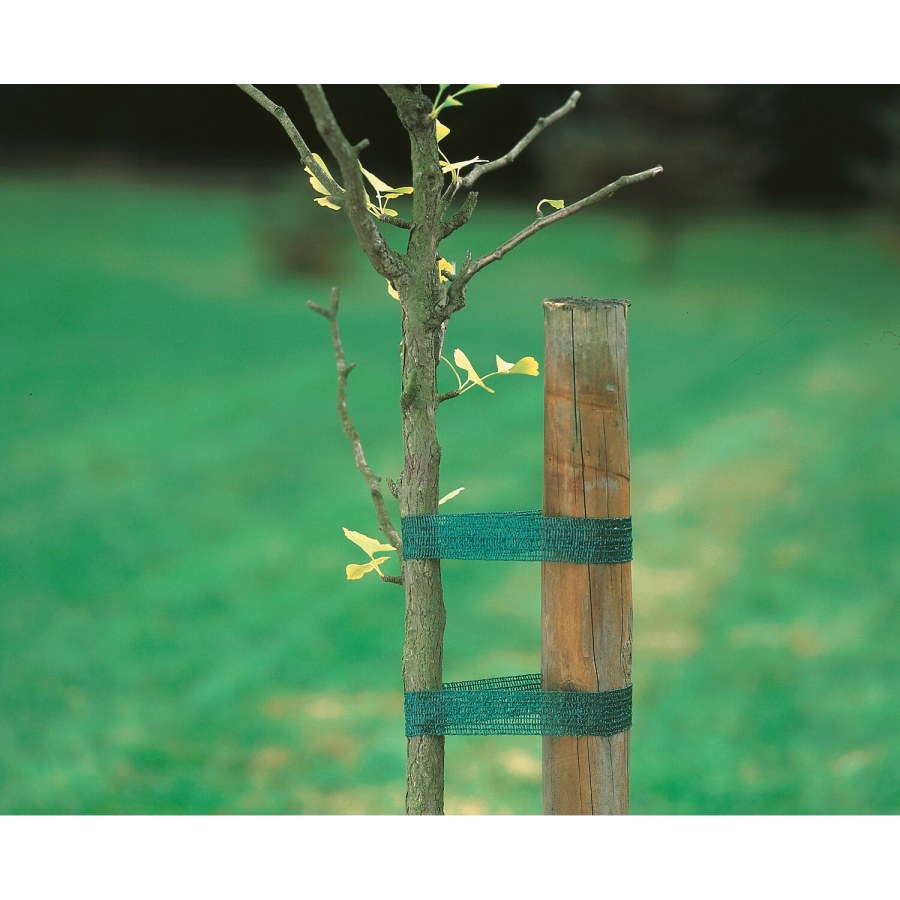 Подвязка деревьев