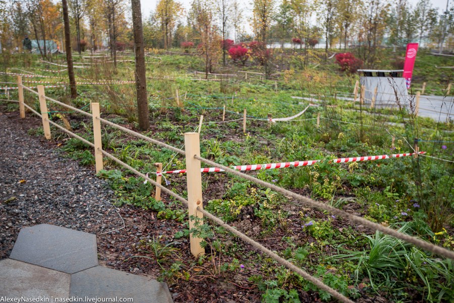 Ограждение деревьев от грызунов