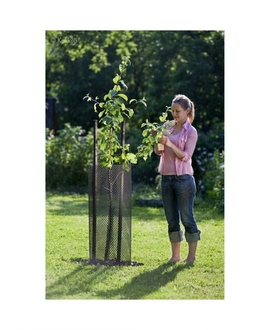 Ограждение для саженцев деревьев