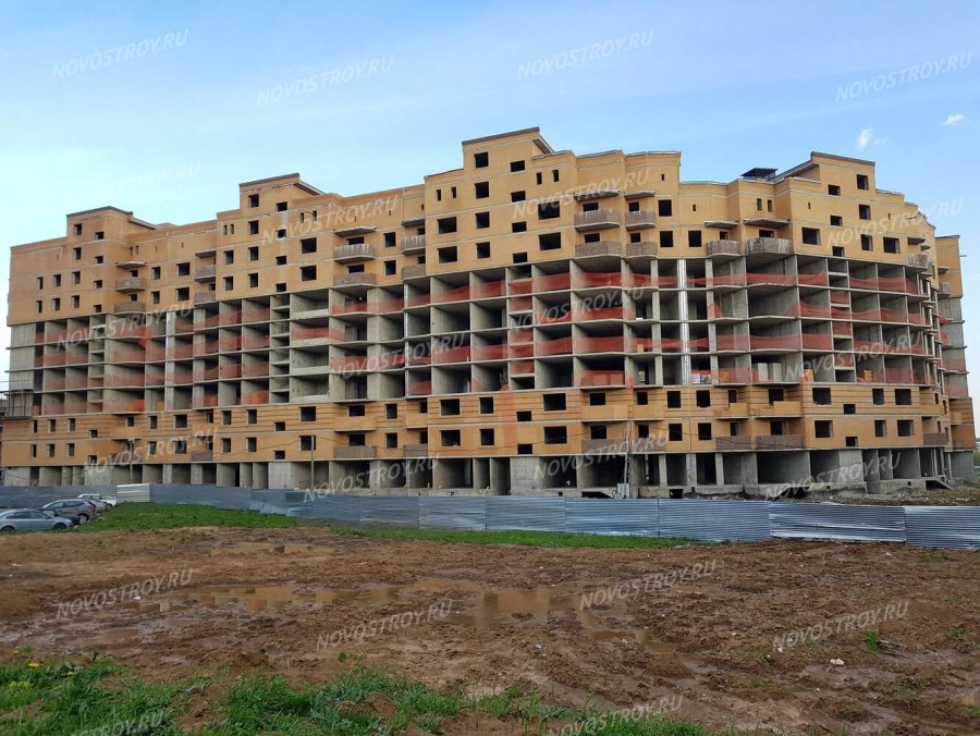 Цветы новые Снегири