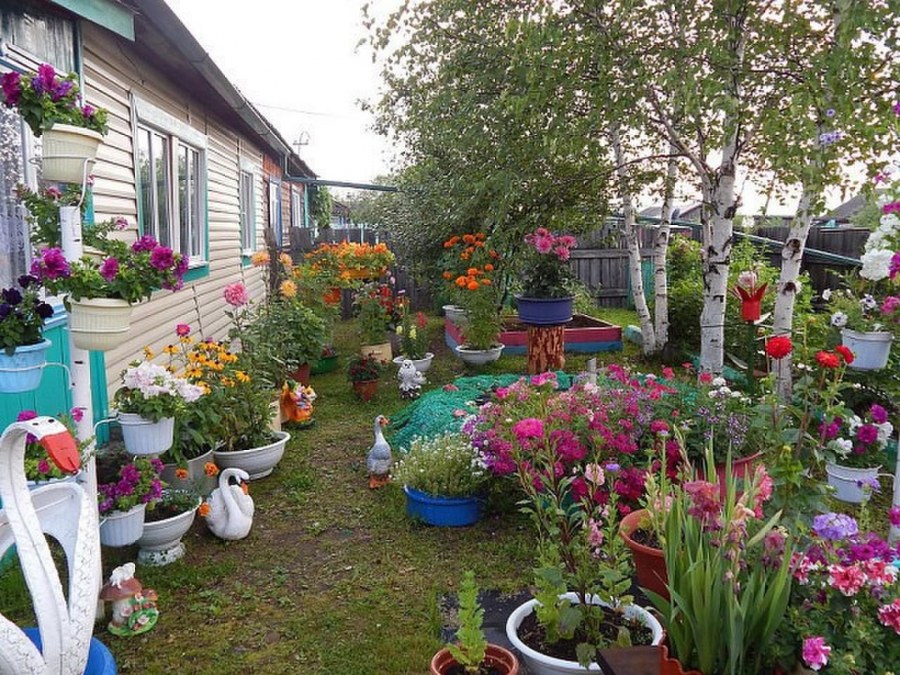 Обустройство сельского двора