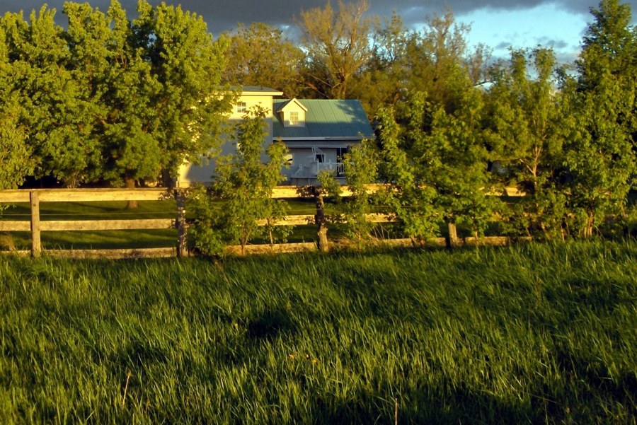 Сельский двор