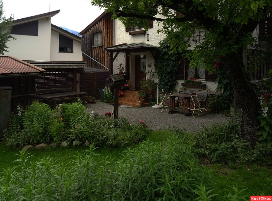 Двор в частном доме своими руками